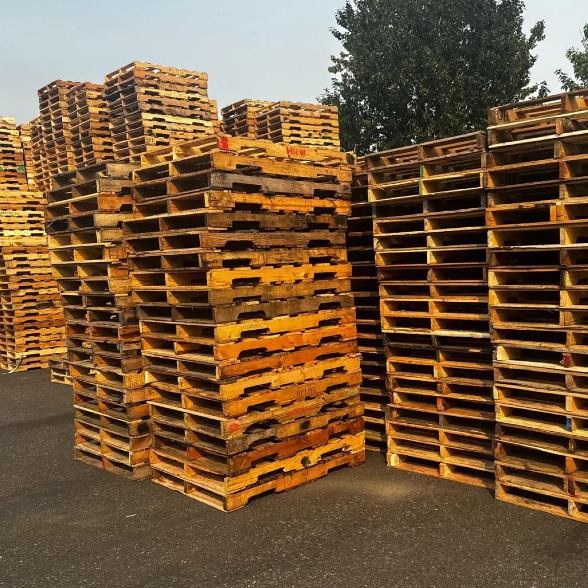 Affordable Grade B used pallets stacked for bulk warehouse and logistics supply