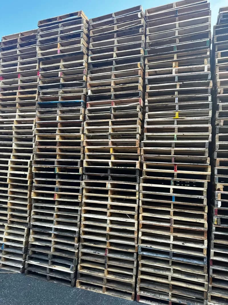 Tall stacks of wooden pallets against a blue sky